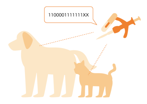 犬猫の犬猫のマイクロチップ どうぶつのお医者さん Ocean S Animal Clinic 犬猫の犬猫のマイクロチップ どうぶつのお医者さん Ocean S Animal Clinic