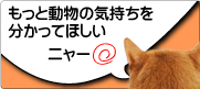 もっと動物の気持ちを分かってほしい(コンセプト3)