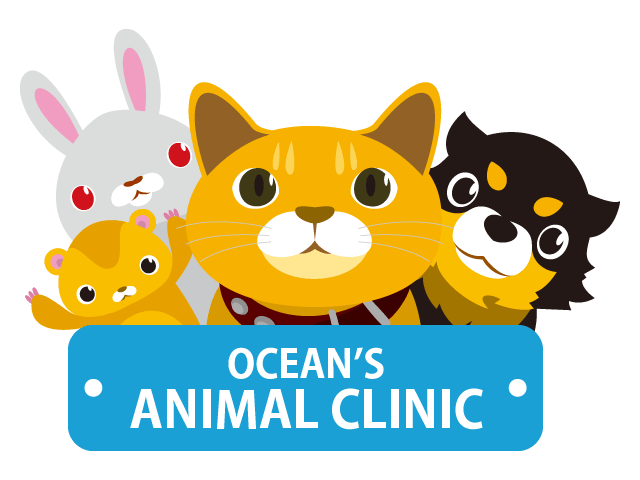 猫のマダニについて どうぶつのお医者さん Ocean S Animal Clinic